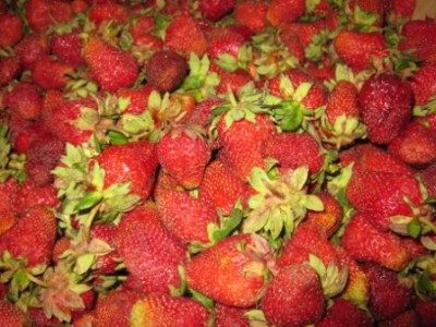 Клубничная подливка с целыми ягодами( заморозка) 392811