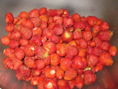 Клубничная подливка с целыми ягодами( заморозка) 392816