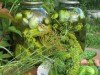 «Огурцы маринованные с петрушкой и чесноком»
