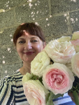 rysevets.margo@yandex.ru