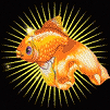 gold@fish