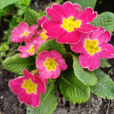 Фото