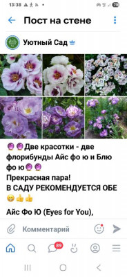 ����