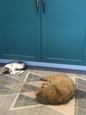 ����