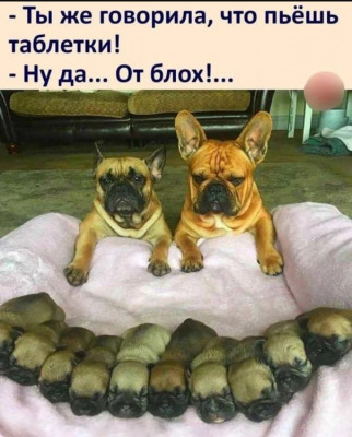 ����