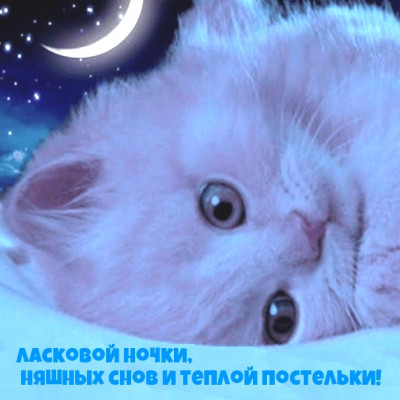 ����