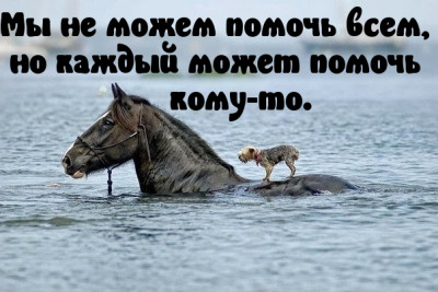 ����