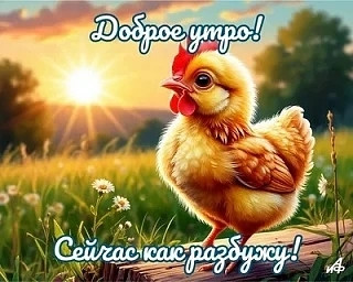����