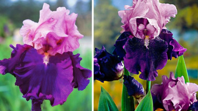 Фото