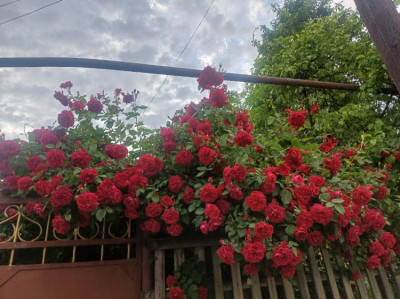 ����