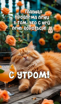����