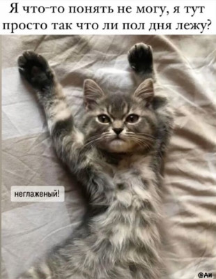 ����