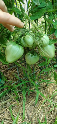����