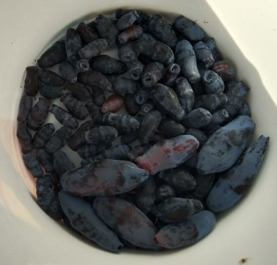 ����