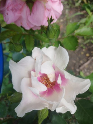 ����
