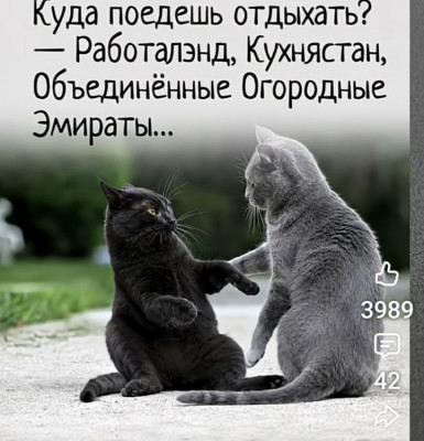 ����