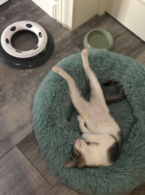 ����