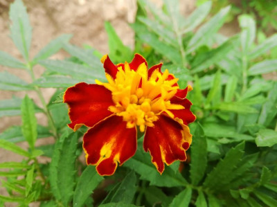 Фото