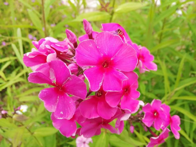 Фото