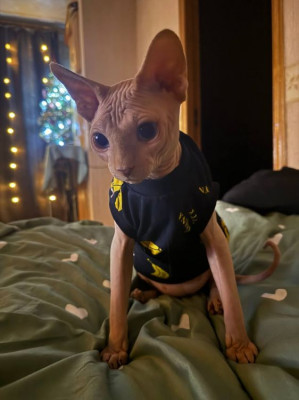����