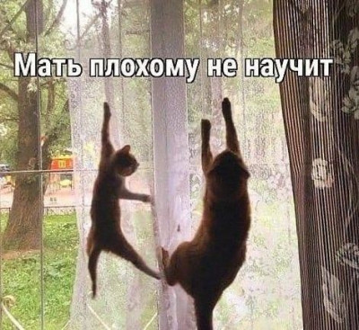 ����