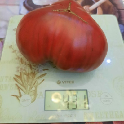 ����