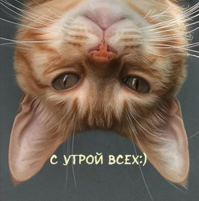 ����