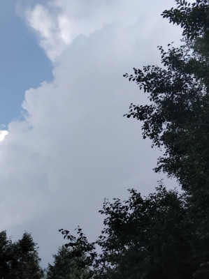 ����
