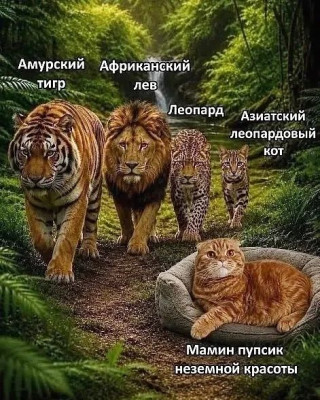 ����