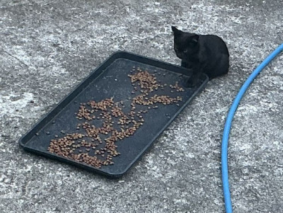 ����