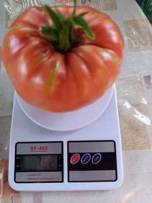 ����