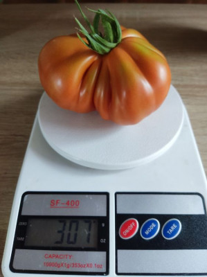 ����