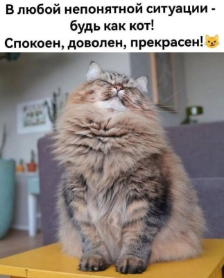 ����