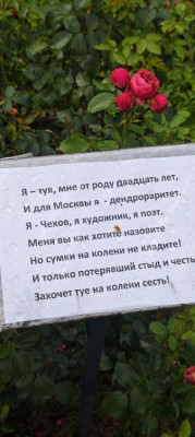 ����