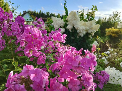 Фото