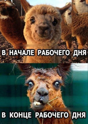 ����