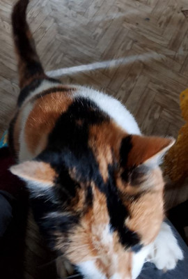 ����