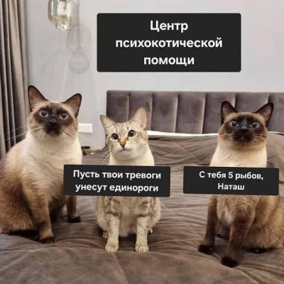 ����