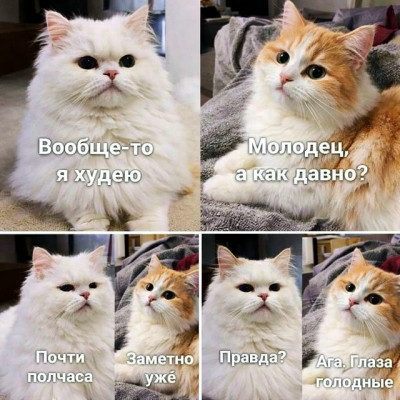 ����