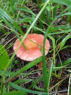 ����