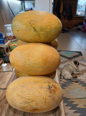 ����