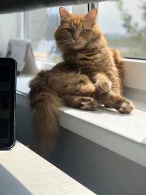 ����