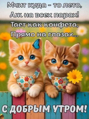 ����
