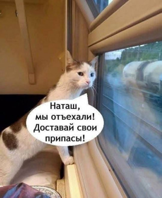 ����