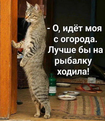 ����