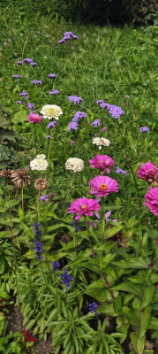 ����
