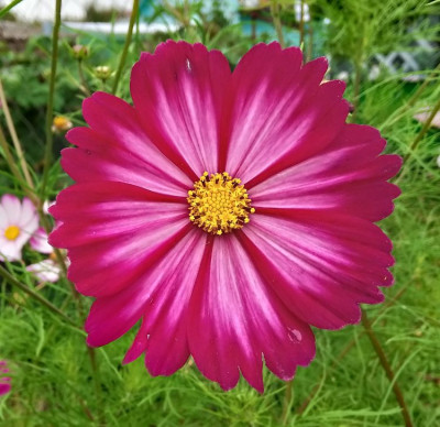 ����