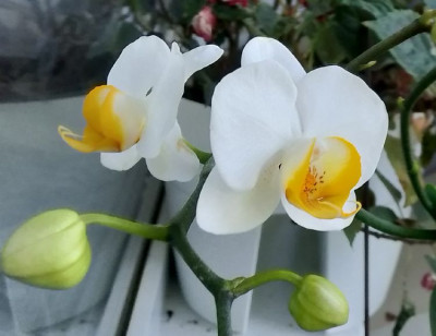 ����