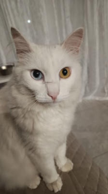 ����