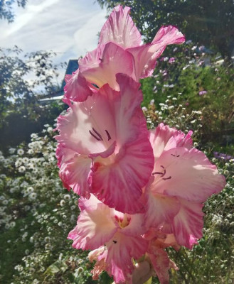 ����